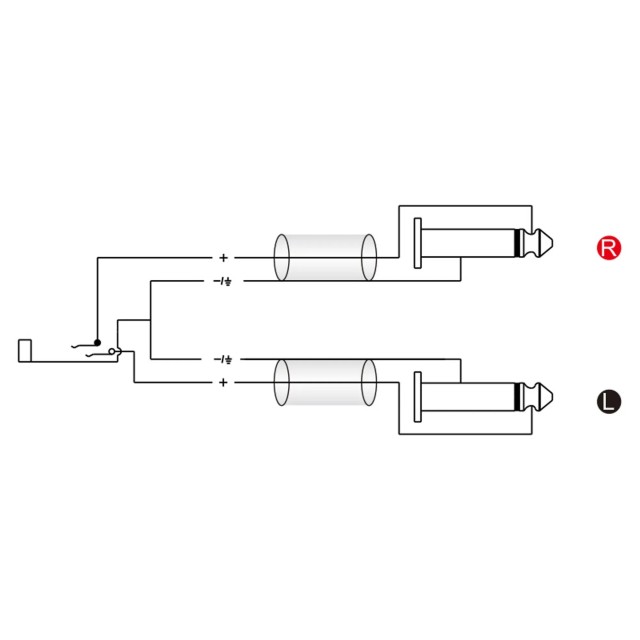 Roxtone RAYC350L02