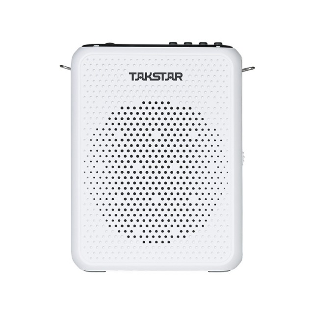 Takstar E300