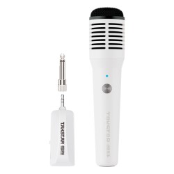 Takstar HM-300W