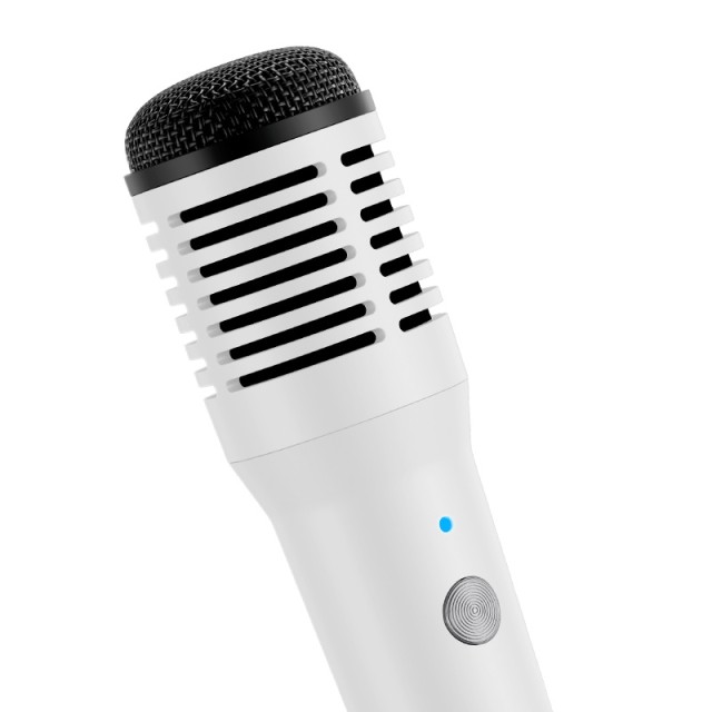Takstar HM-300W
