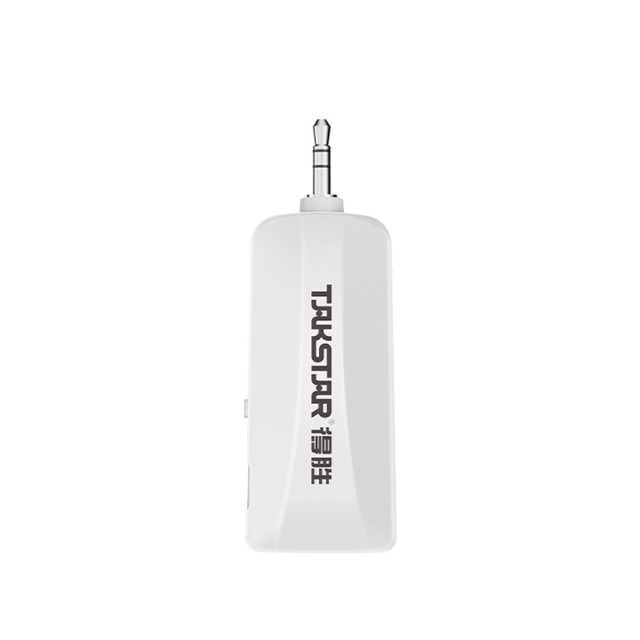 Takstar HM-300W