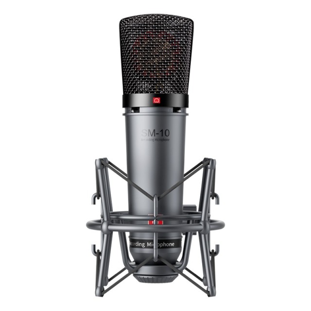 Takstar SM-10