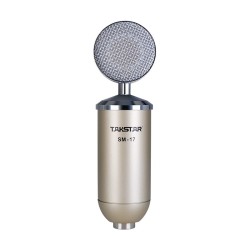 Takstar SM-17