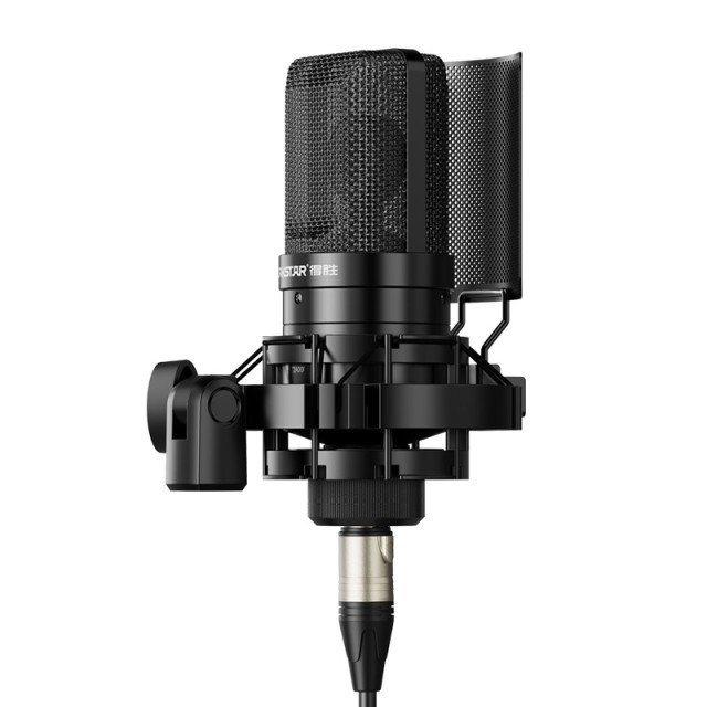 Takstar SM-8B