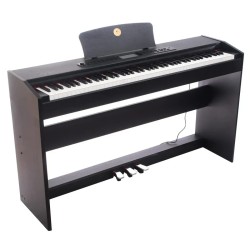 Alfabeto Vivo (Black)