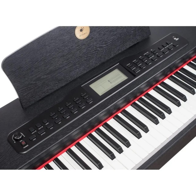 Alfabeto Vivo (Black)