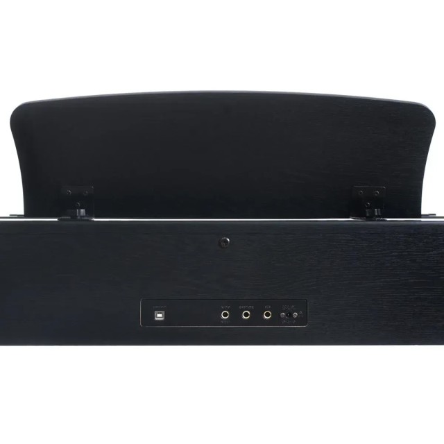 Alfabeto Vivo (Black)