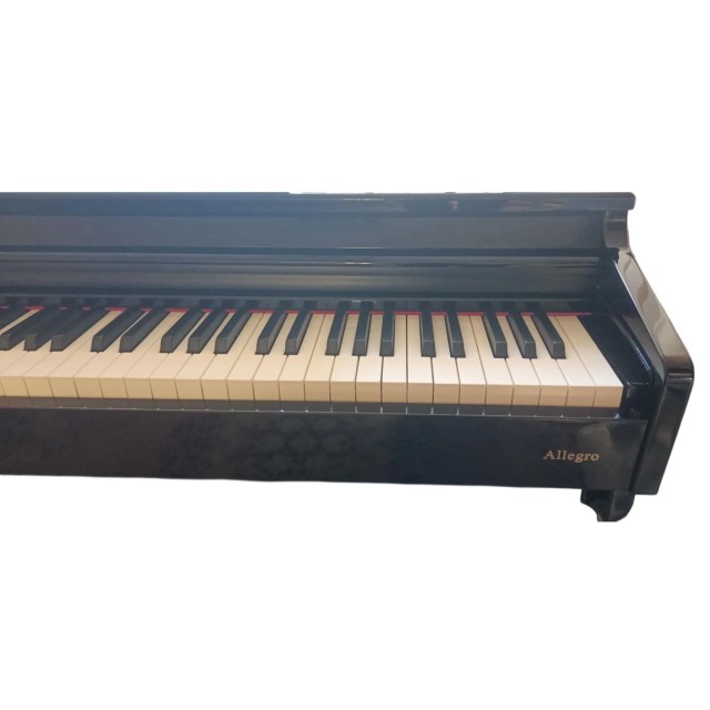 Alfabeto Allegro (Polish Black)