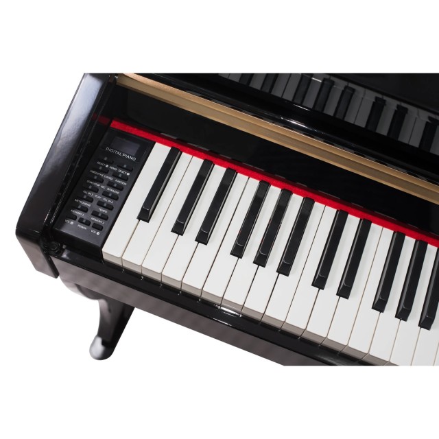 Alfabeto Maestro (Black)