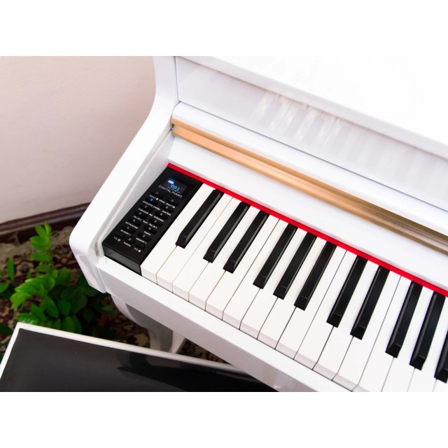 Alfabeto Maestro (White)