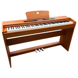 Alfabeto Vivo (Orange)