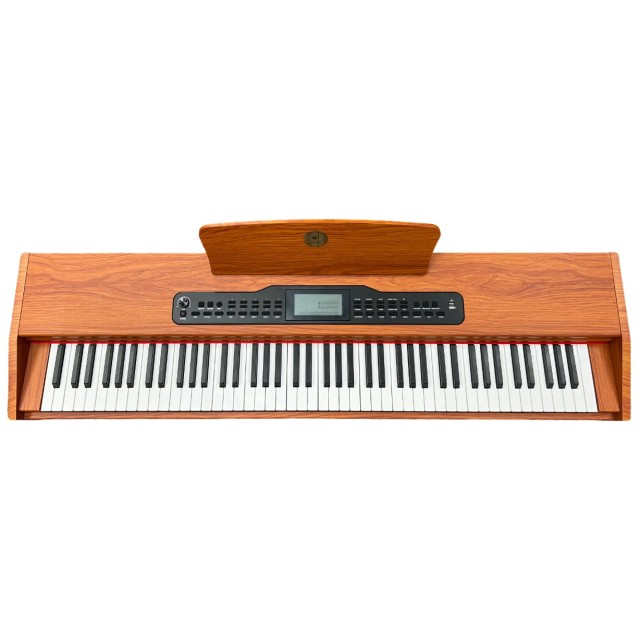 Alfabeto Vivo (Orange)
