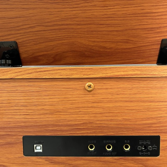 Alfabeto Vivo (Orange)