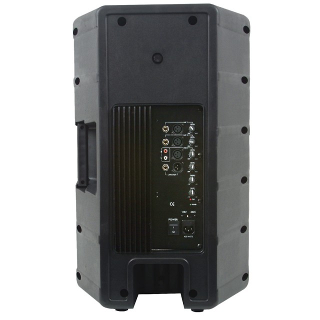 American Audio DLS15P