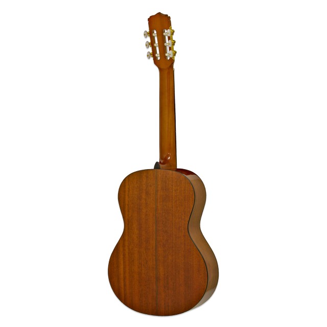 Aria A-20 N