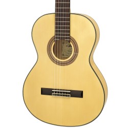 Aria A-20F
