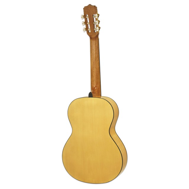 Aria A-20F