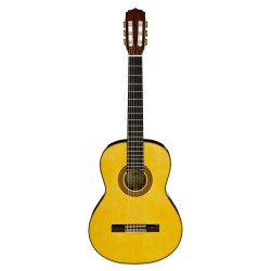 Aria A-30S N