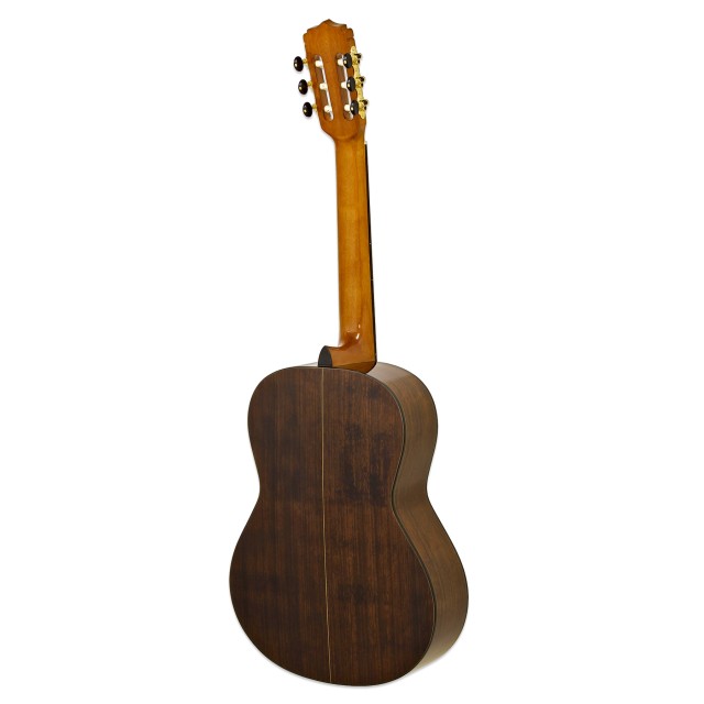 Aria A-30S N