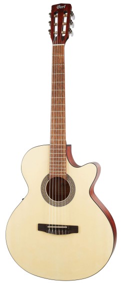 CORT CEC1 (Open Pore)