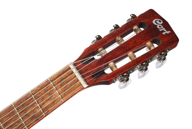 �������� ����� CORT CEC1 (Open Pore)