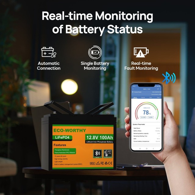 ����������� Eco-Worthy LiFePO4 12.8V 100Ah Bluetooth