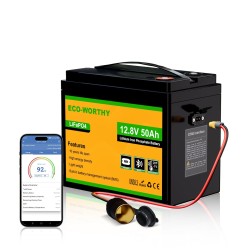 Eco-Worthy LiFePO4 12.8V 50Ah