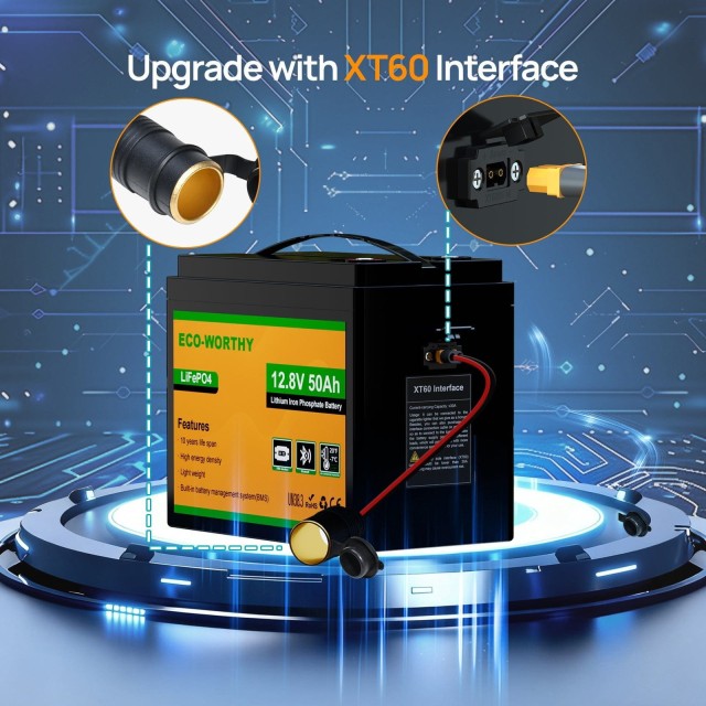 ����������� Eco-Worthy LiFePO4 12.8V 50Ah