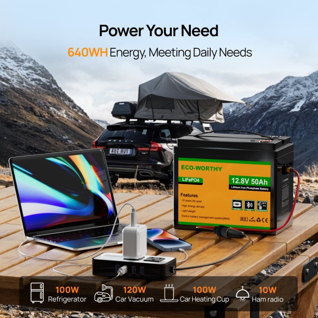 ����������� Eco-Worthy LiFePO4 12.8V 50Ah