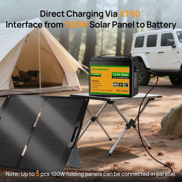 ����������� Eco-Worthy LiFePO4 12.8V 50Ah