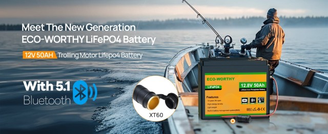 ����������� Eco-Worthy LiFePO4 12.8V 50Ah