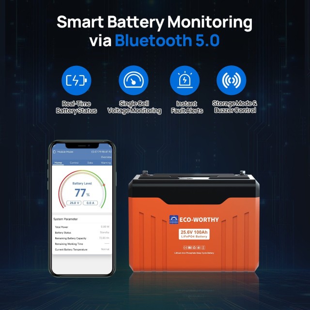 ����������� Eco-Worthy LiFePO4 25,6V 100Ah