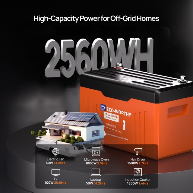 ����������� Eco-Worthy LiFePO4 25,6V 100Ah