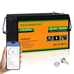 Eco-Worthy LiFePO4 25,6V 100Ah Low-Temp