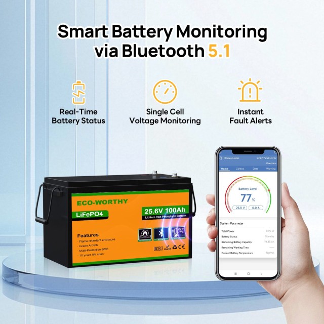 ����������� Eco-Worthy LiFePO4 25,6V 100Ah Low-Temp