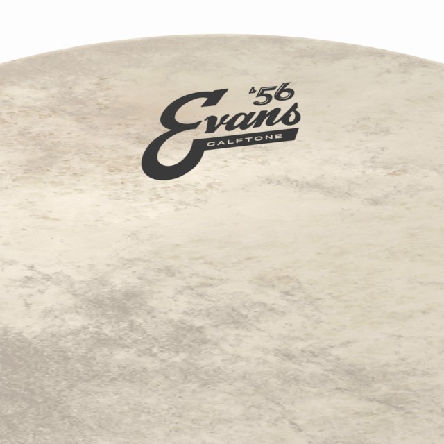 EVANS 22" CALFTONE