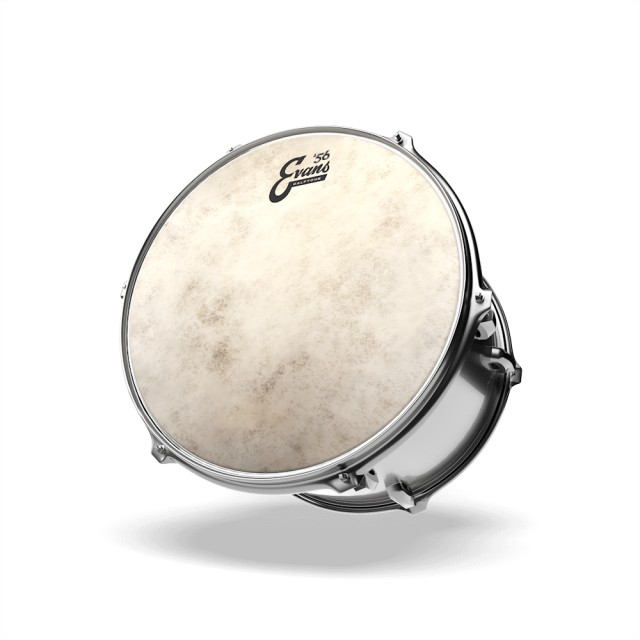 EVANS 12" CALFTONE