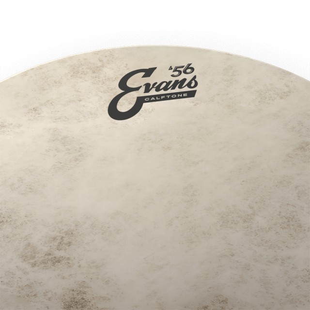 EVANS 18" CALFTONE