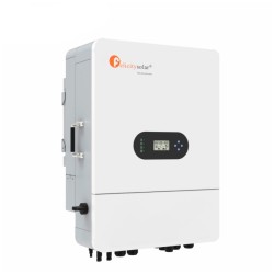 Felicity T-REX-10KLP3G01