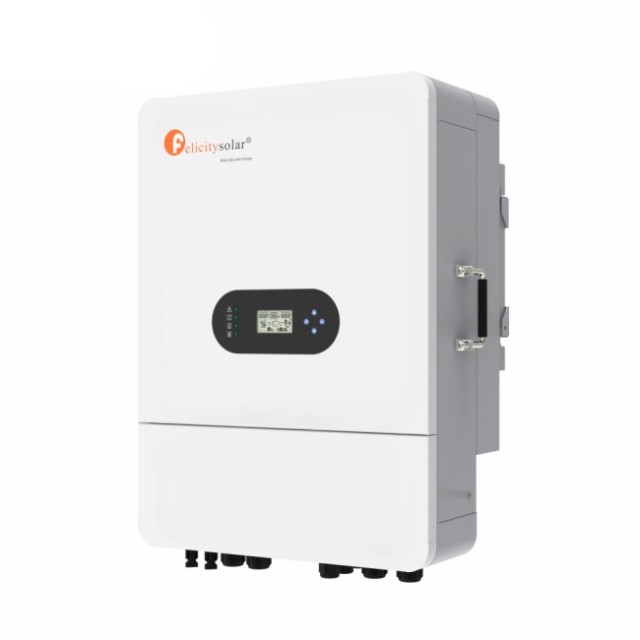 Felicity T-REX-10KLP3G01