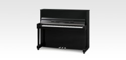 KAWAI ND21 M/PEP
