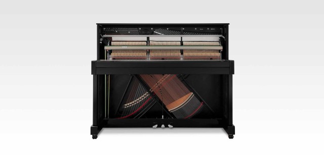 KAWAI ND21 M/PEP