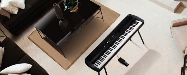 ����������� ������� Korg SP280 BK