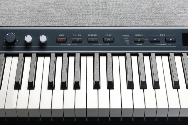����������� ������� Kurzweil KA-P1 KB