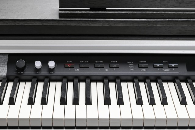�������� ������� Kurzweil CUP P1 SR