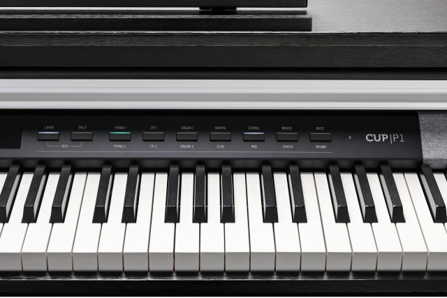 �������� ������� Kurzweil CUP P1 SR