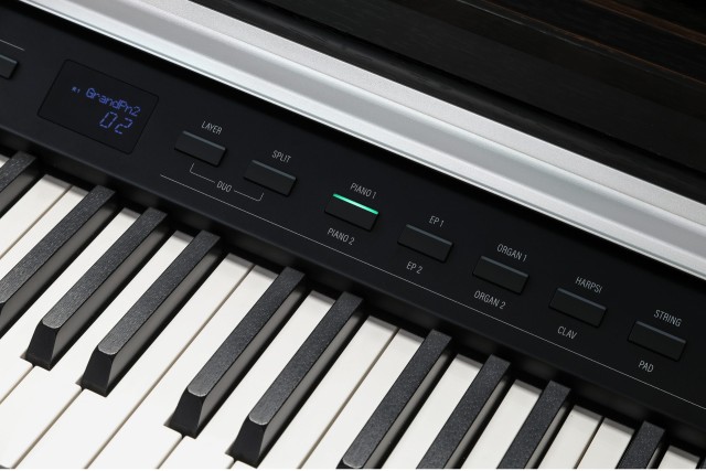 �������� ������� Kurzweil CUP P1 SR