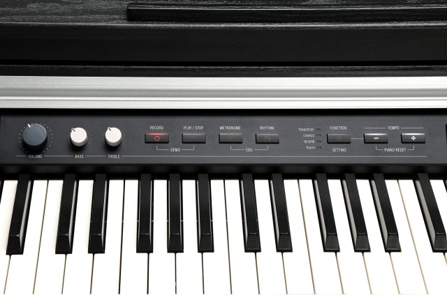 �������� ������� Kurzweil CUP P1 BK