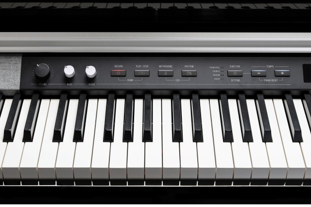 �������� ������� Kurzweil CUP P1 BP