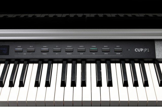 �������� ������� Kurzweil CUP P1 BP